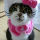 Illustration for article titled Japans Hello Kitty Cat Humiliation System